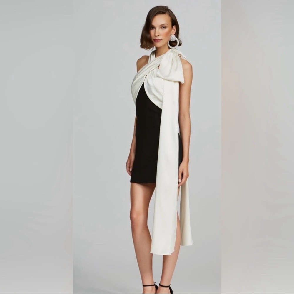 Halston Ranea Dress Size 4 NWT